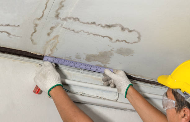 Reliable Mold Remediation contractor in Kennebec, SD by Water Damage Irwin